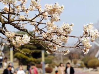 日照最新天气预报（日照最新天气预报来了没）