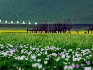 7月份去哪里旅游最好国内｜清凉避暑、草原花海与山海之间的盛夏秘境