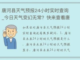 唐河天气早知道，未来15天最新预报与生活指南
