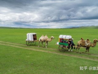 呼伦贝尔天气，草原上的四季交响曲