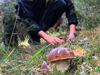 湖南未来三天天气预报，晴雨交替，气温小幅波动