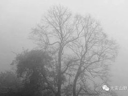 巴中的雨，巴中的雾