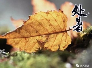 九月天象，从夏末余温到秋意渐浓—全国9月1日至30日天气预报综述