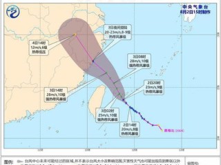 风雨中的守望，台风路径实时更新如何守护万家安宁