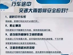 临沂天气预报15天查询百度，轻松掌握未来天气，出行规划更从容