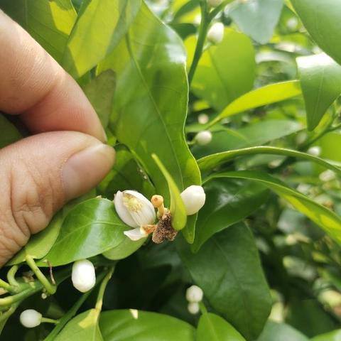 桂林天气20天准确（桂林天气24号到30号）