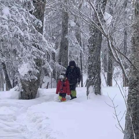 黑龙江伊春天气预报，林海雪原的天气密码，你读懂了吗？
