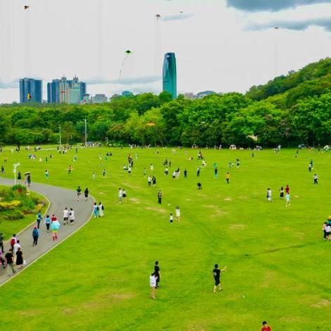 深圳疫情最新消息,防控措施再升级,市民生活有序恢复 深圳疫情最新消息,防控措施再升级,市民生活有序恢复