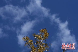 宜昌天气预报,山水之城的天气密码与生活智慧 宜昌天气预报,山水之城的天气密码与生活智慧