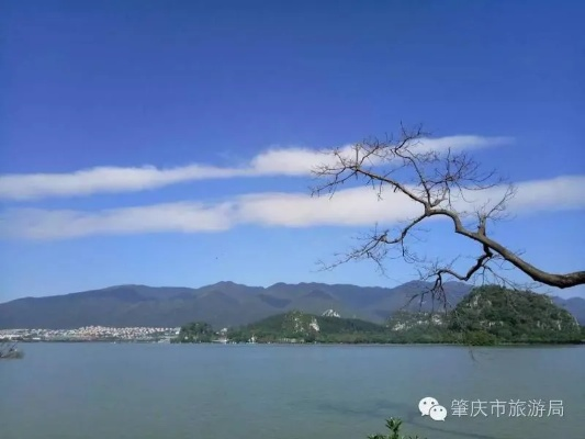 肇庆天气，岭南风情里的四季诗篇