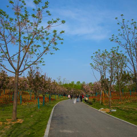 西安旅游攻略，穿越千年古都，一日看尽长安花