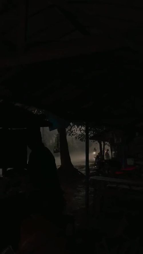 等一场雨，在不确定的时光里