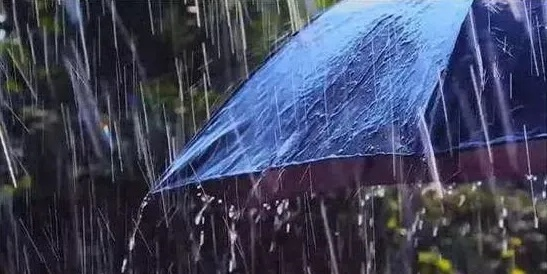 辽宁未来10天都有雨，一场长情的雨季，我们该如何应对？