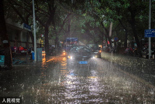 郑州特大暴雨，一座城市的坚韧与重生