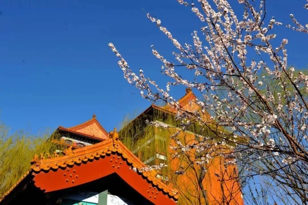 香河天气，小城四季的温柔呼吸