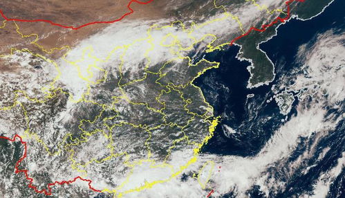 透过台风实时路径卫星云图，我们看到了什么？