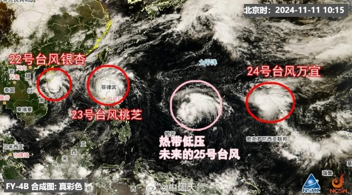 台风最新信息，动态追踪、防御指南与科学应对