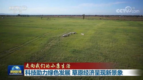 草原上的晴雨表，苏尼特右旗天气预报与游牧生活
