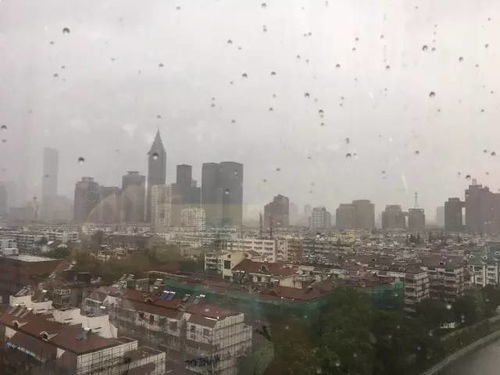 南京的天气