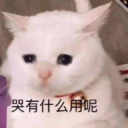 苏州天气预报30天准确吗?真相可能和你想的不一样 苏州天气预报30天准确吗?真相可能和你想的不一样