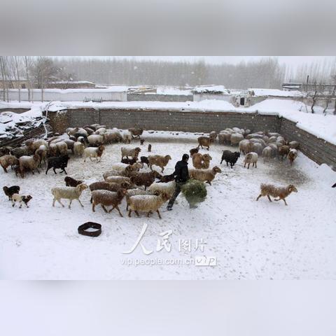 新疆未来15天天气预报,寒潮与回暖交替,出行需注意防寒保暖 新疆未来15天天气预报,寒潮与回暖交替,出行需注意防寒保暖
