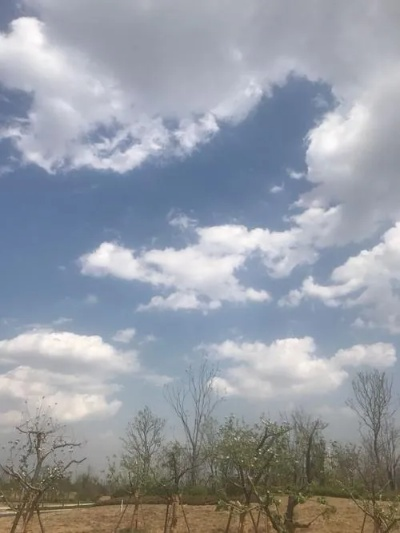 新郑天气,四季流转中的中原记忆 新郑天气,四季流转中的中原记忆