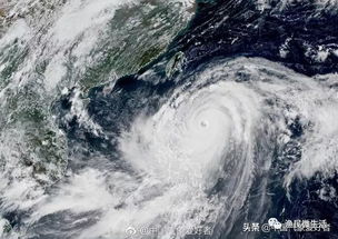 双台共舞，15号与16号台风的接力风暴