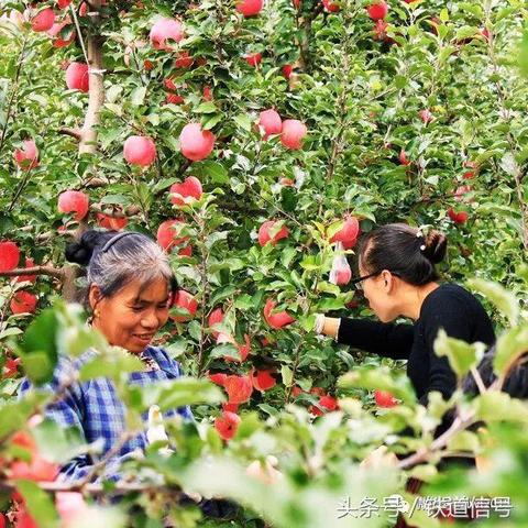 静宁天气预报,一场与黄土高原的对话 静宁天气预报,一场与黄土高原的对话