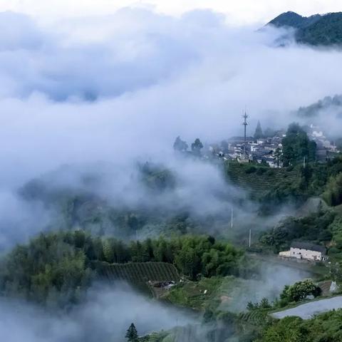 松阳的雨,藏在天气预报里 松阳的雨,藏在天气预报里