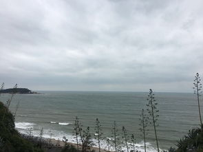 厦门下雨天影响旅游吗?一场雨中的别样风景 厦门下雨天影响旅游吗?一场雨中的别样风景