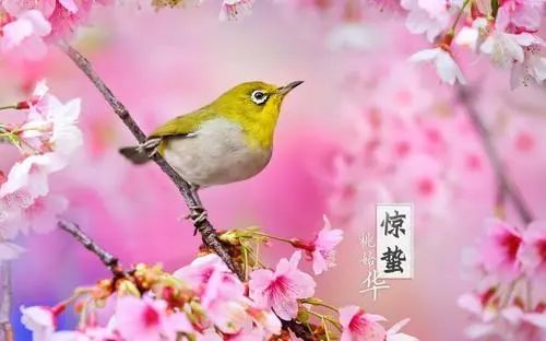 北京一周天气展望，冷暖交替，春意渐浓
