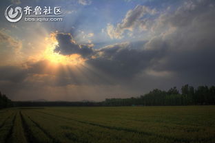 南丰天气预报，守候四季的温柔与变迁